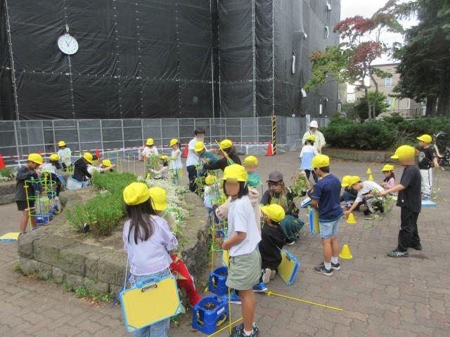 小学生 鉢 受け皿セット プランター 理科 朝顔 植木鉢