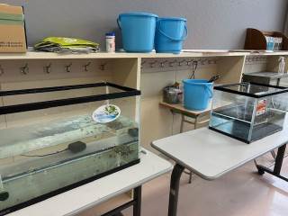 札幌市立簾舞小学校-ニュース - 今年度 -
