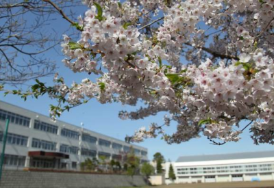 札幌市立藤野中学校-トップページ