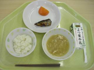 給食 食器 蛋白 人気 残り