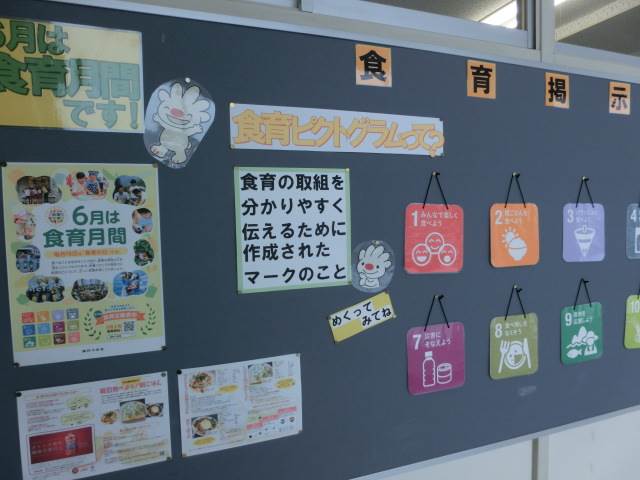 絵を見てわかるくみひも　雅流教書 絵を見てわかるくみひも 雅流教書 （SOU・SOU）
