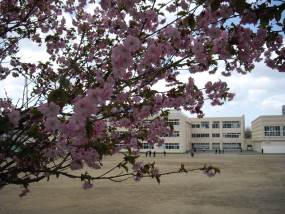 札幌市立山鼻中学校学校長あいさつ