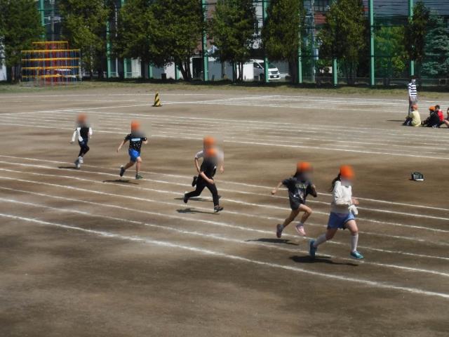 札幌市立本通小学校 ニュース 本通ニュース