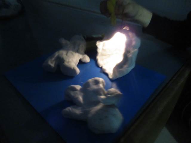 札幌市立藻岩小学校 ニュース お知らせ