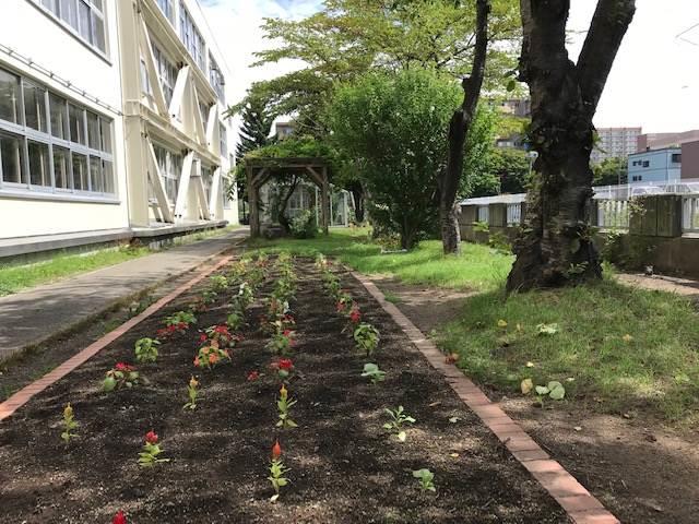 札幌市立西小学校 トップページ