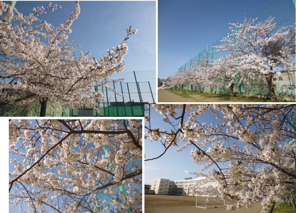 札幌市立新川中学校