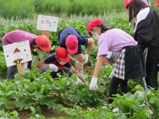 札幌市立新琴似小学校 ニュース 学校生活の様子