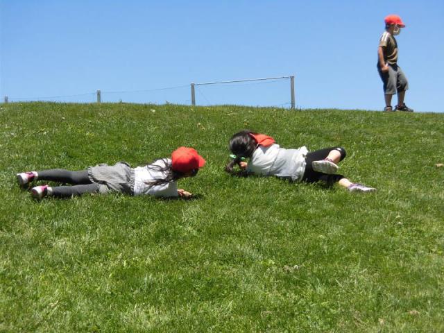 札幌市立太平小学校